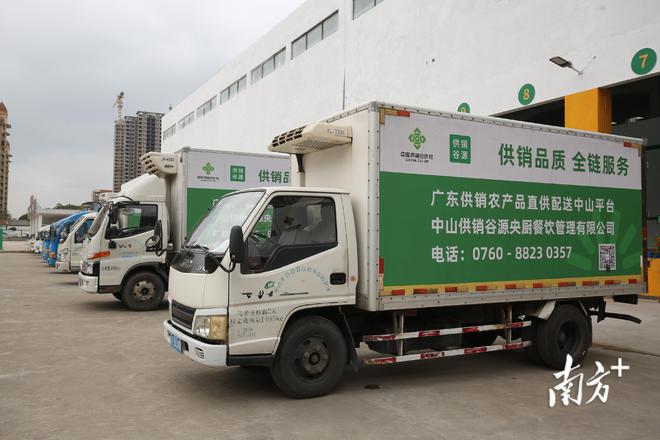 廣東供銷農產品直供配送中山服務中心開業，一站式打包服務助力農產品高效流通